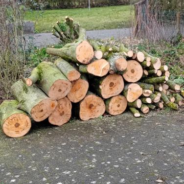 Te koop ruim een kuub open haard hout Esdoorn