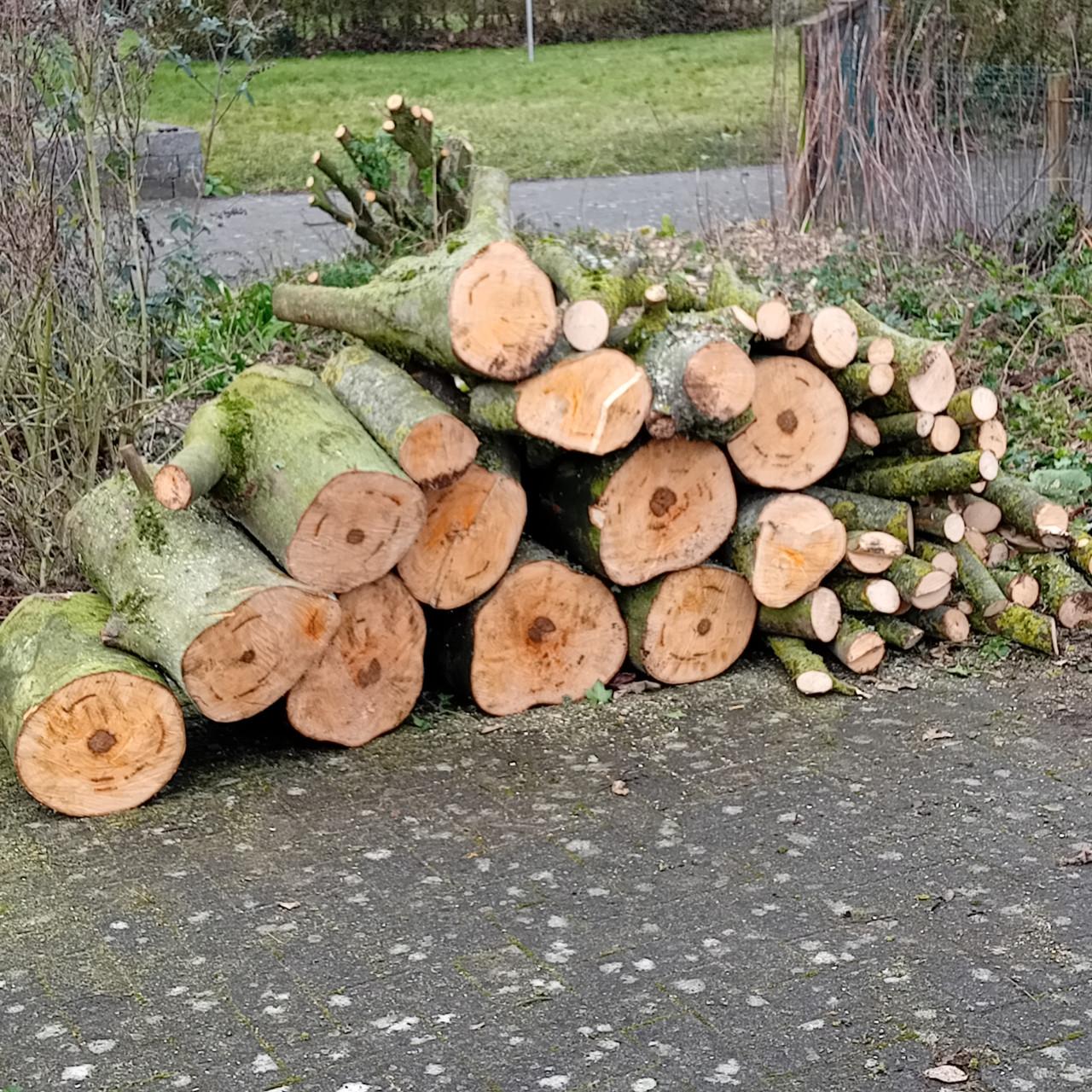 Te koop ruim een kuub open haard hout Esdoorn