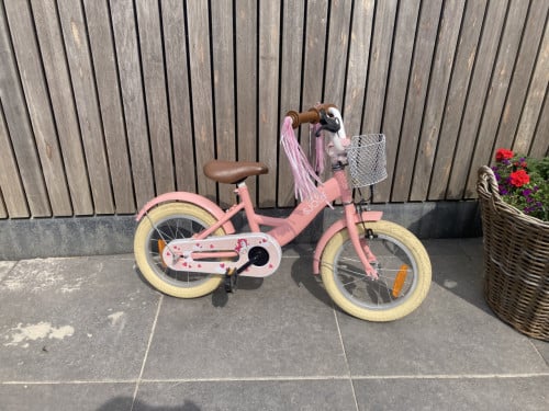 Meisjes fiets