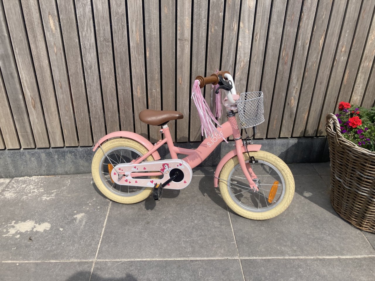 Meisjes fiets
