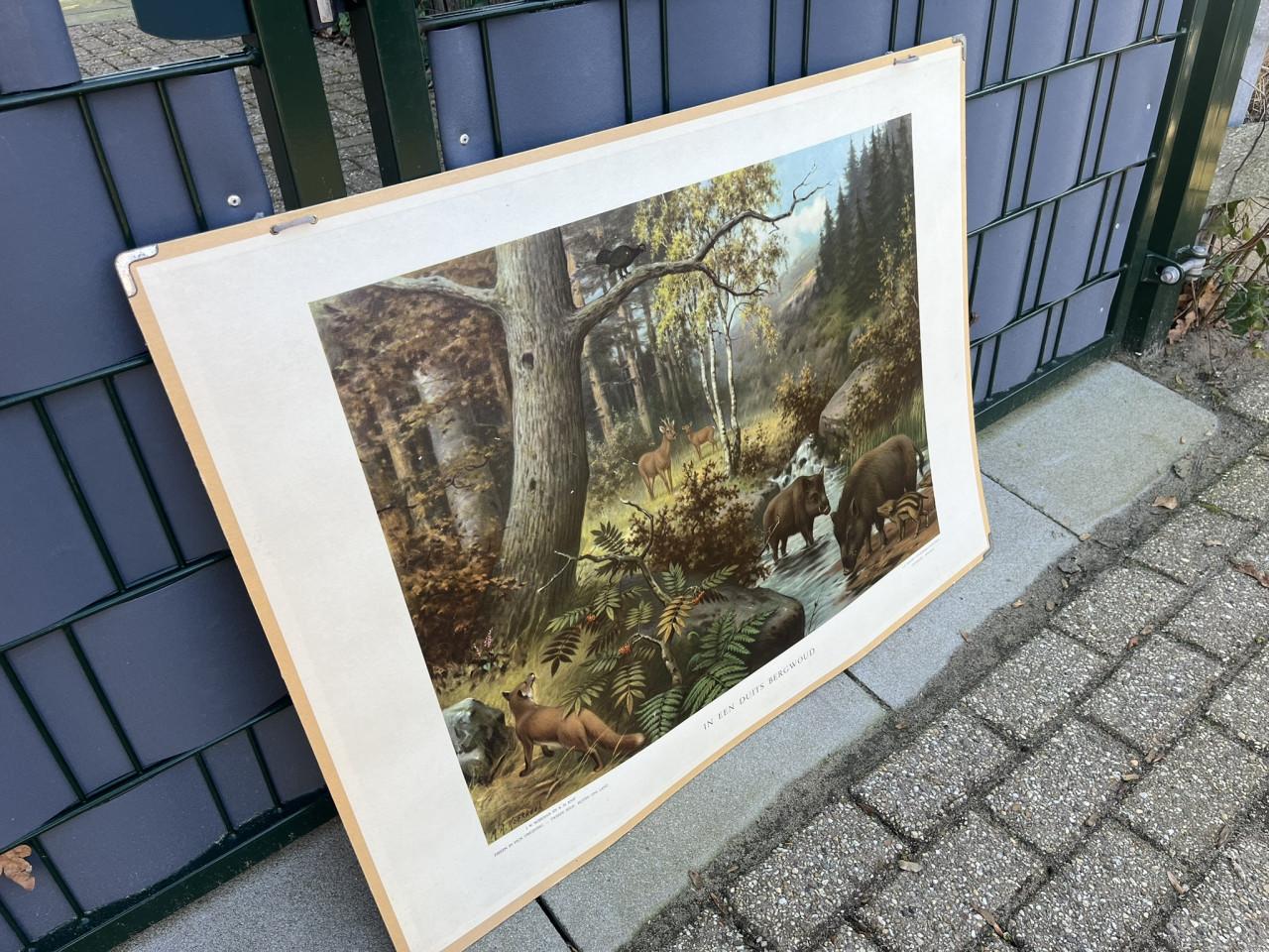 Schoolplaat in het Duitse bergwoud