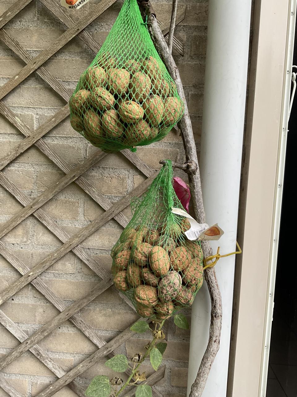 Walnoten nieuwe oogst