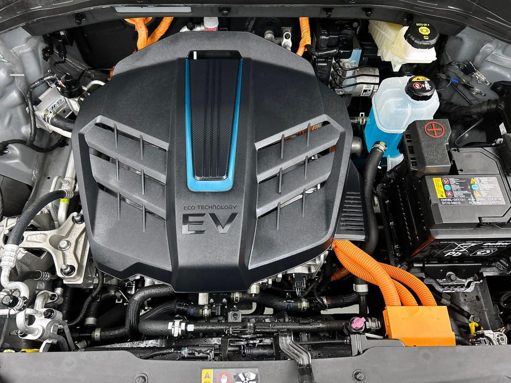 Kia E-niro dynamicplusline 64 kwh | 3-fase | schuif/kanteldak