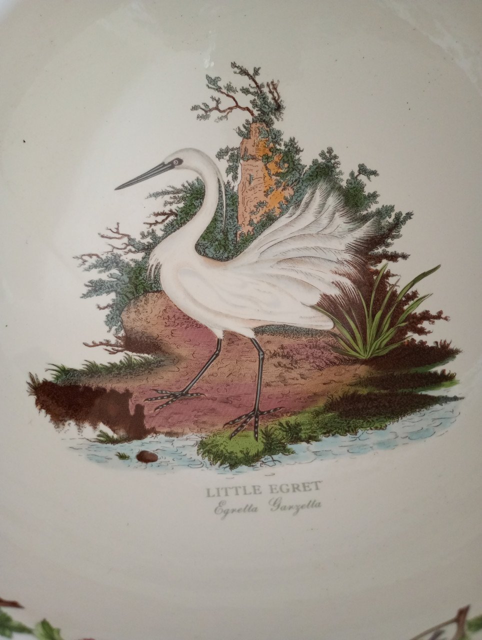 Schaal met vogels