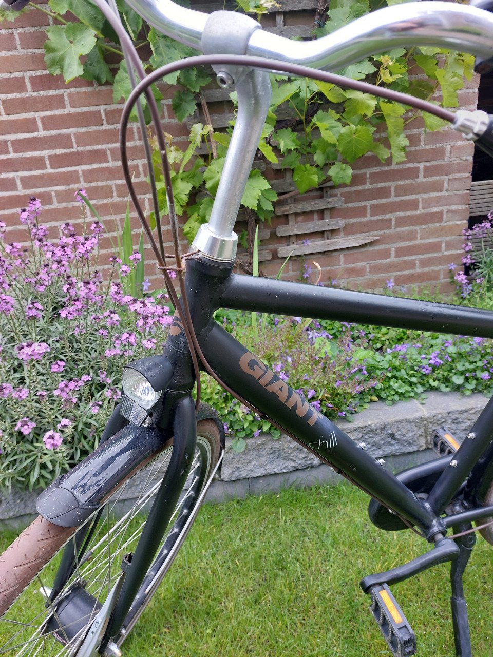 Giant heren jongens fiets