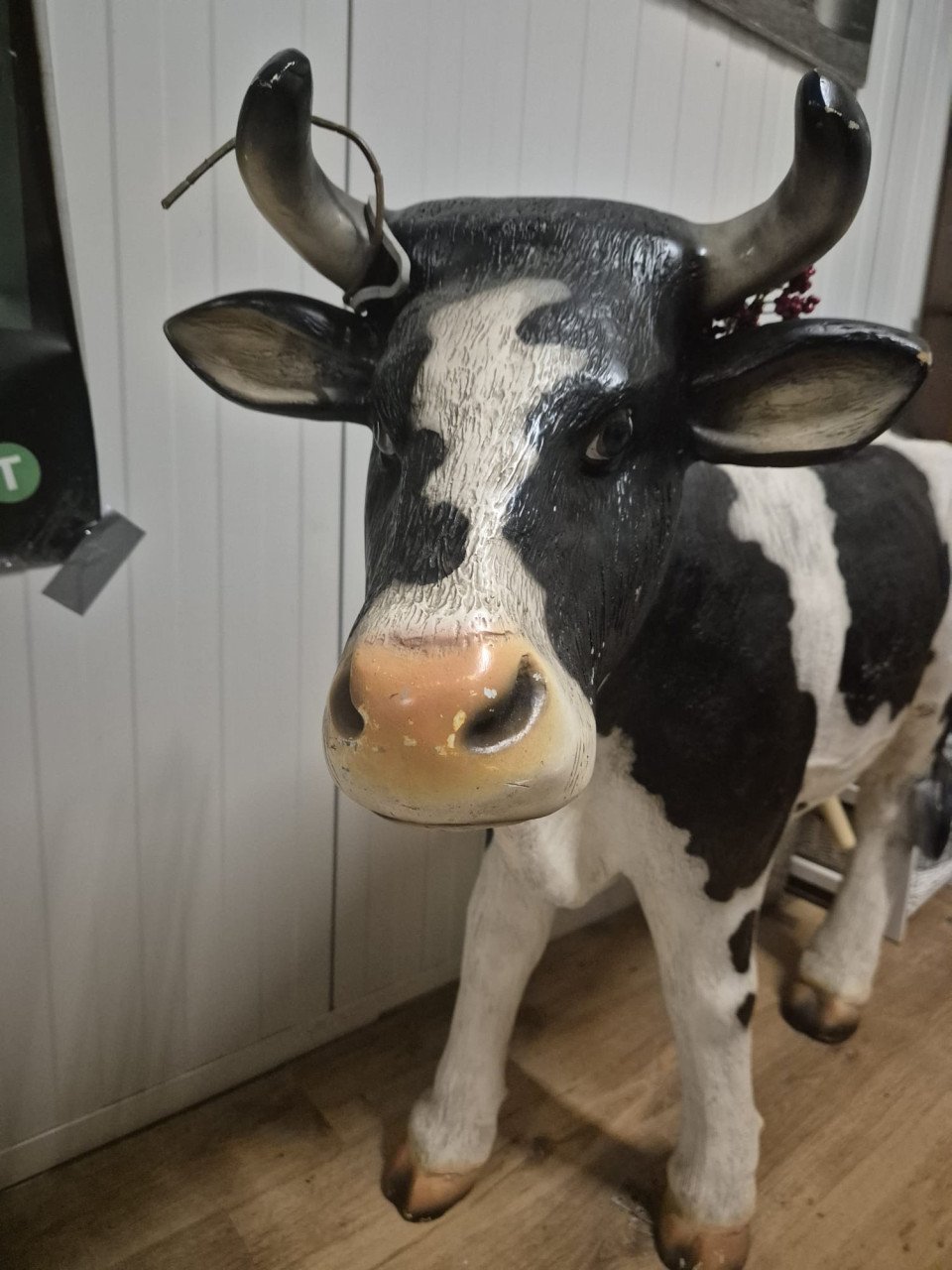 Koe die kan melken