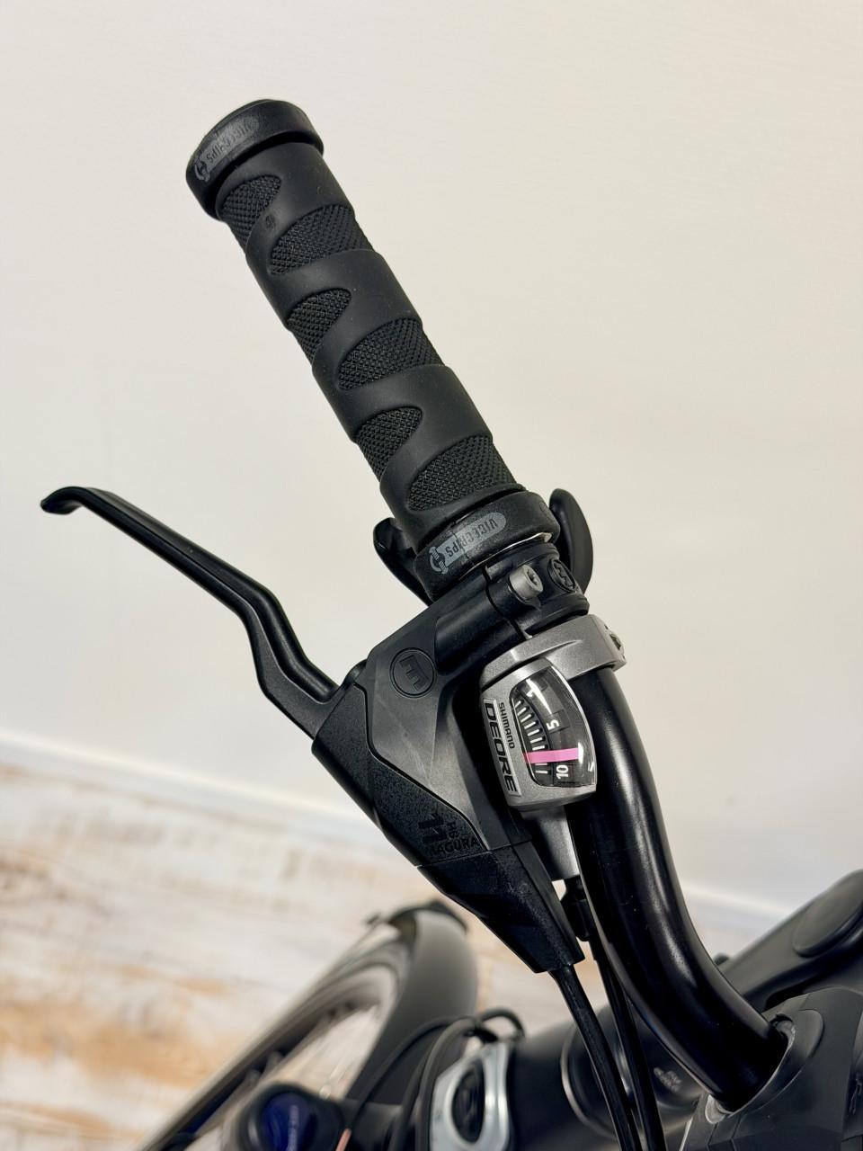 Gazelle Chamonix T10 Bosch-Middenmotor E-BIKE - 1e eigenaar