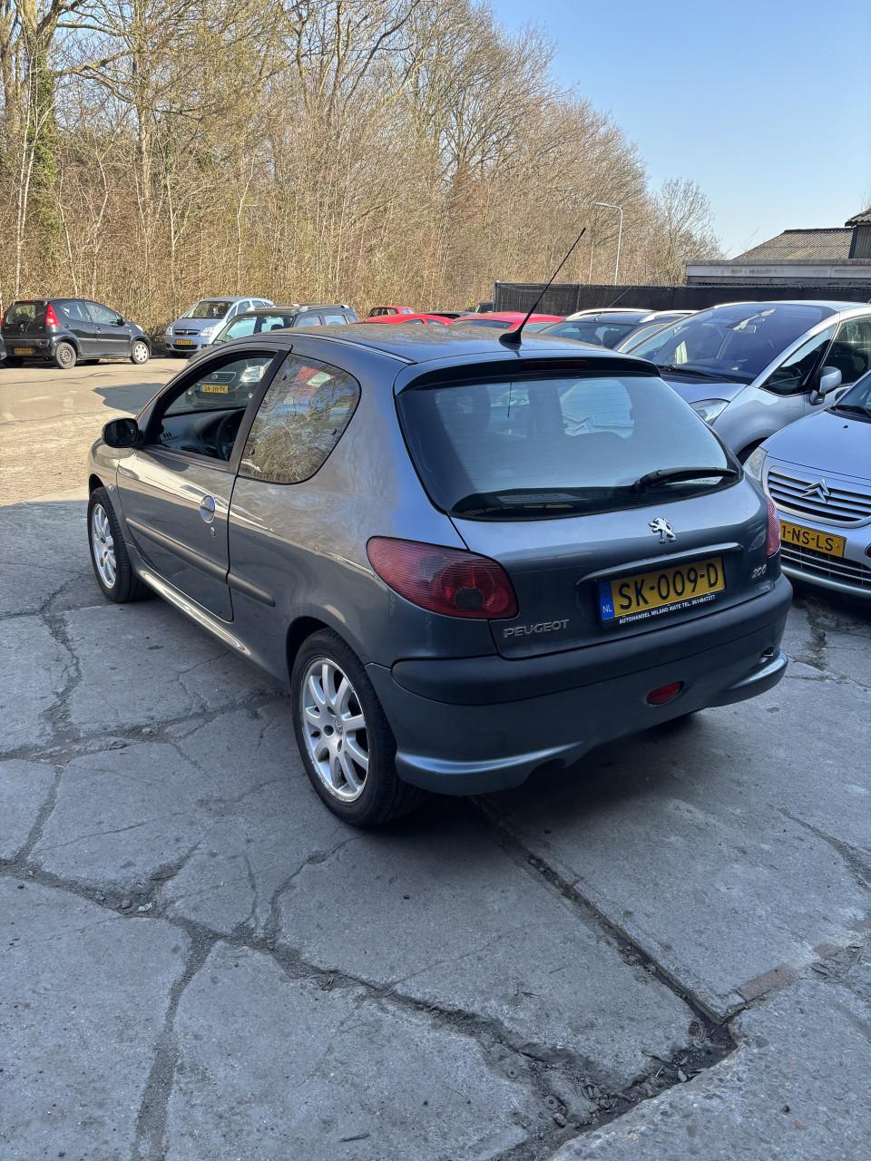 Peugeot 206