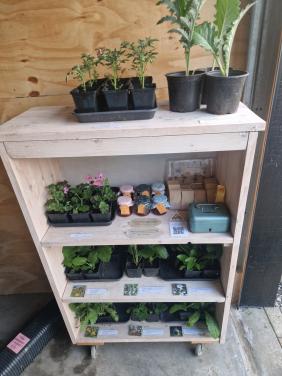 Plantenkraampje 30 mei tijdens tuintjesmarkt Ellemeet
