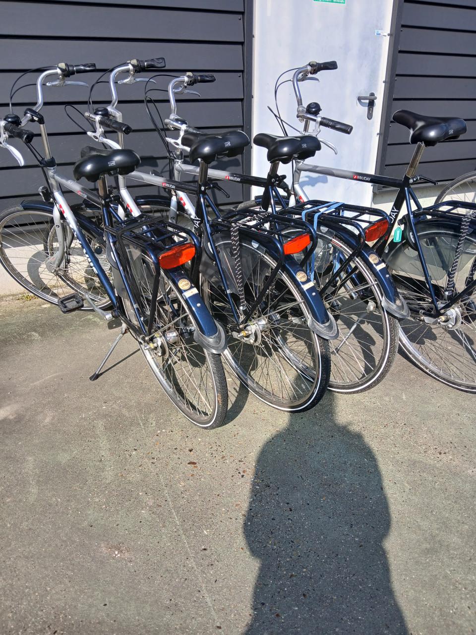 Dames- en herenfietsen