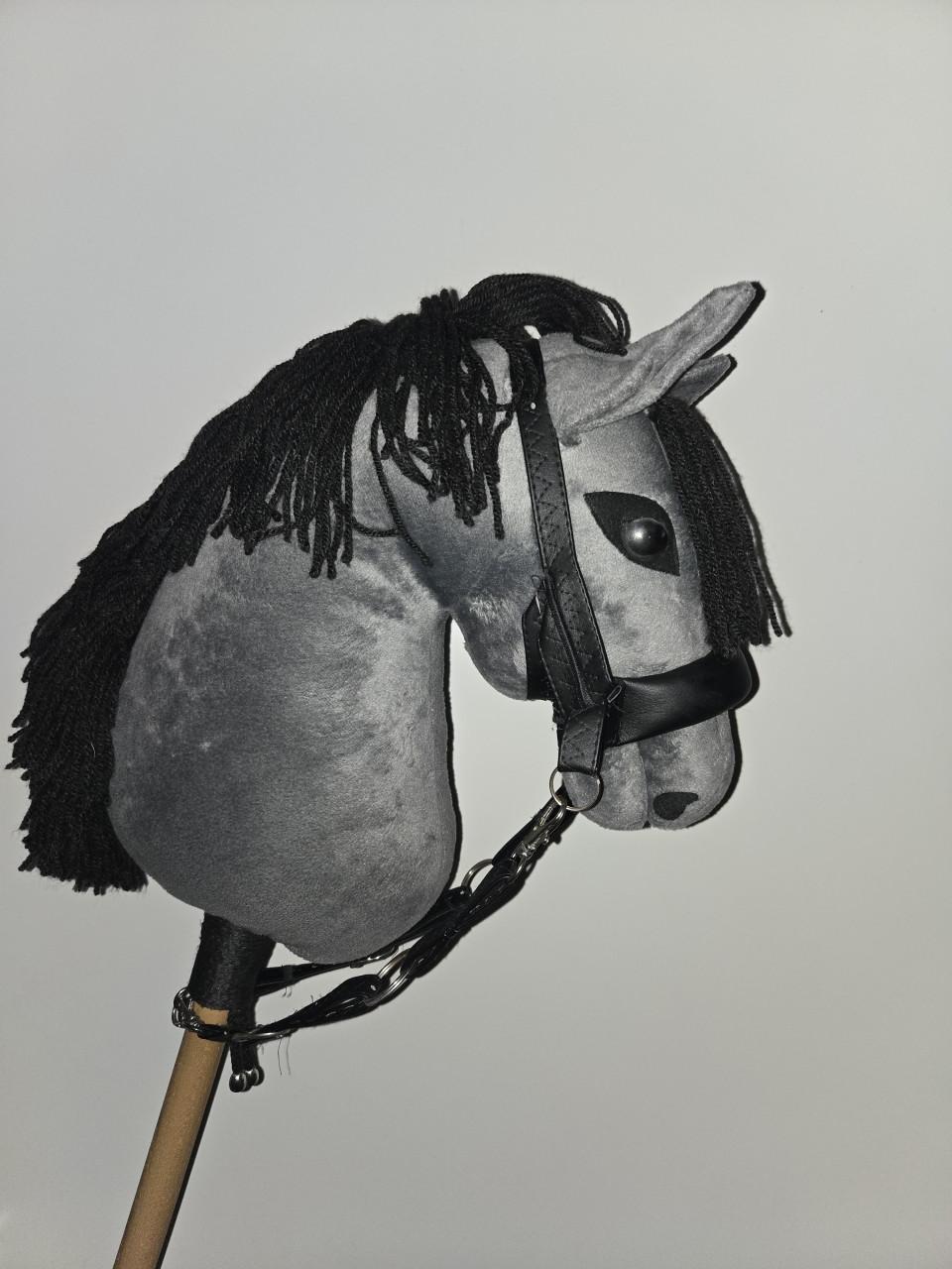 Hobbyhorse