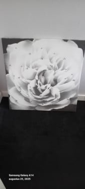 2 canvas met strass