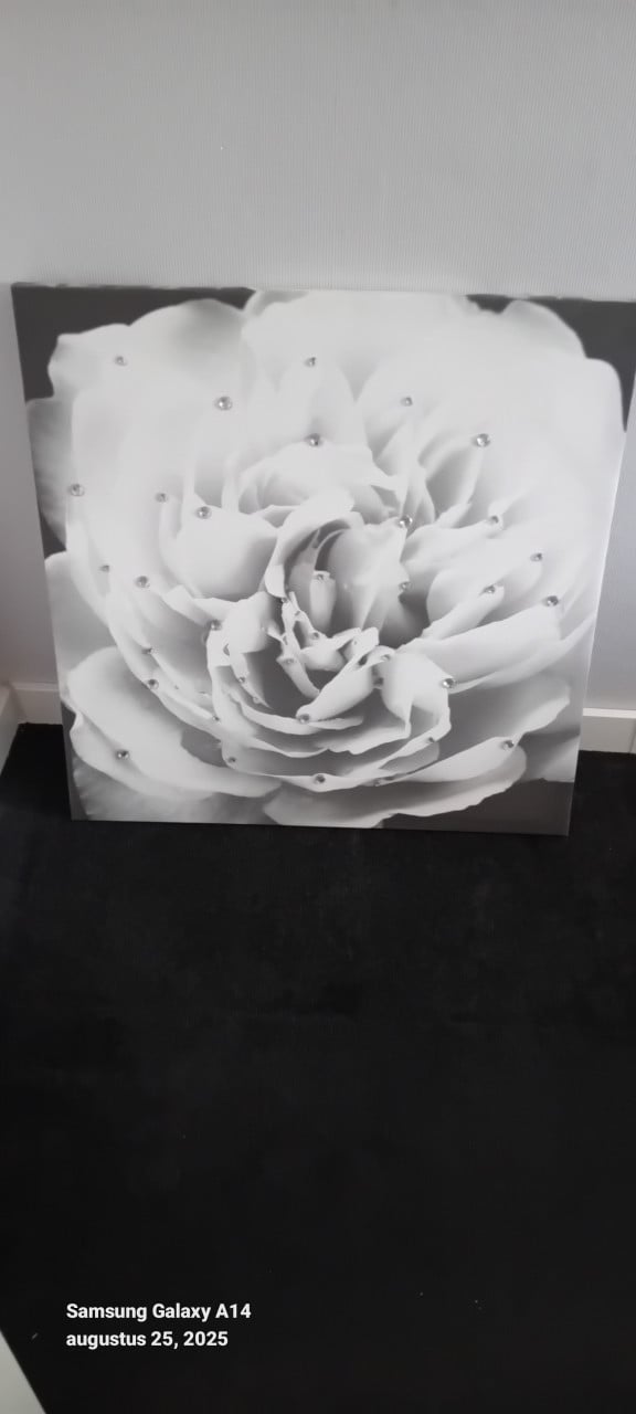 2 canvas met strass