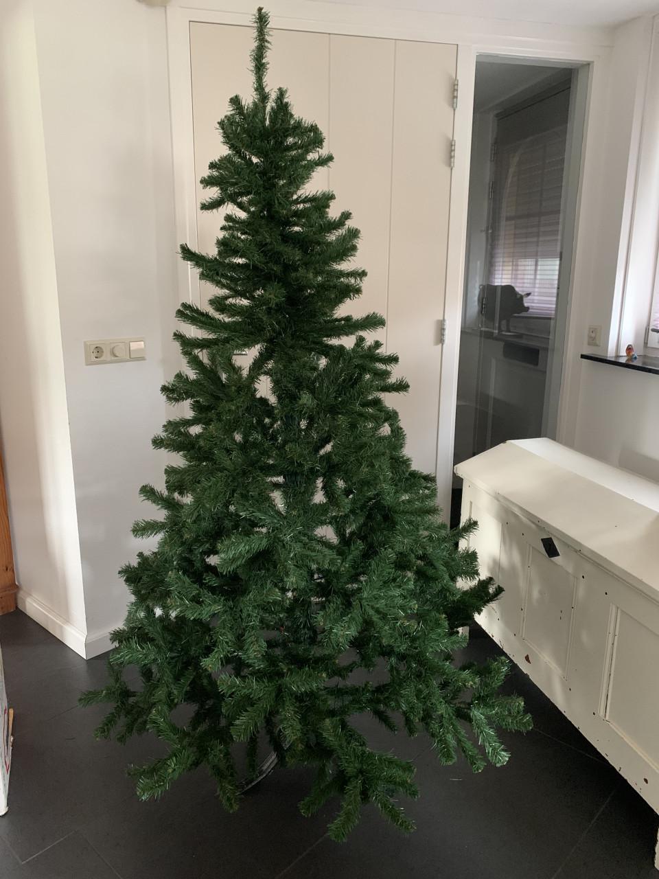 Kerstboom 1.85 m.  Intratuin
