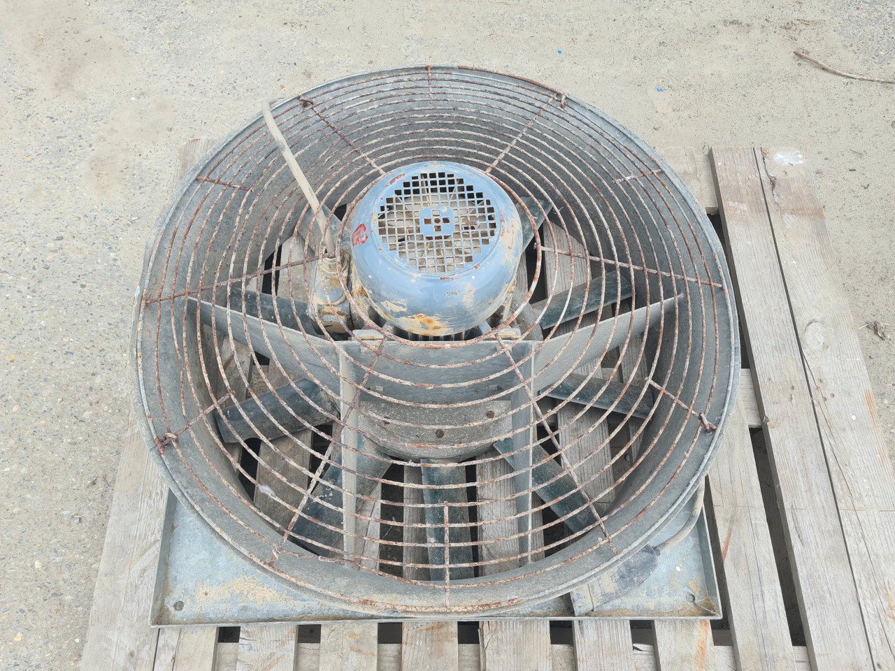 Ventilator aardappelen / uien ventilatie
