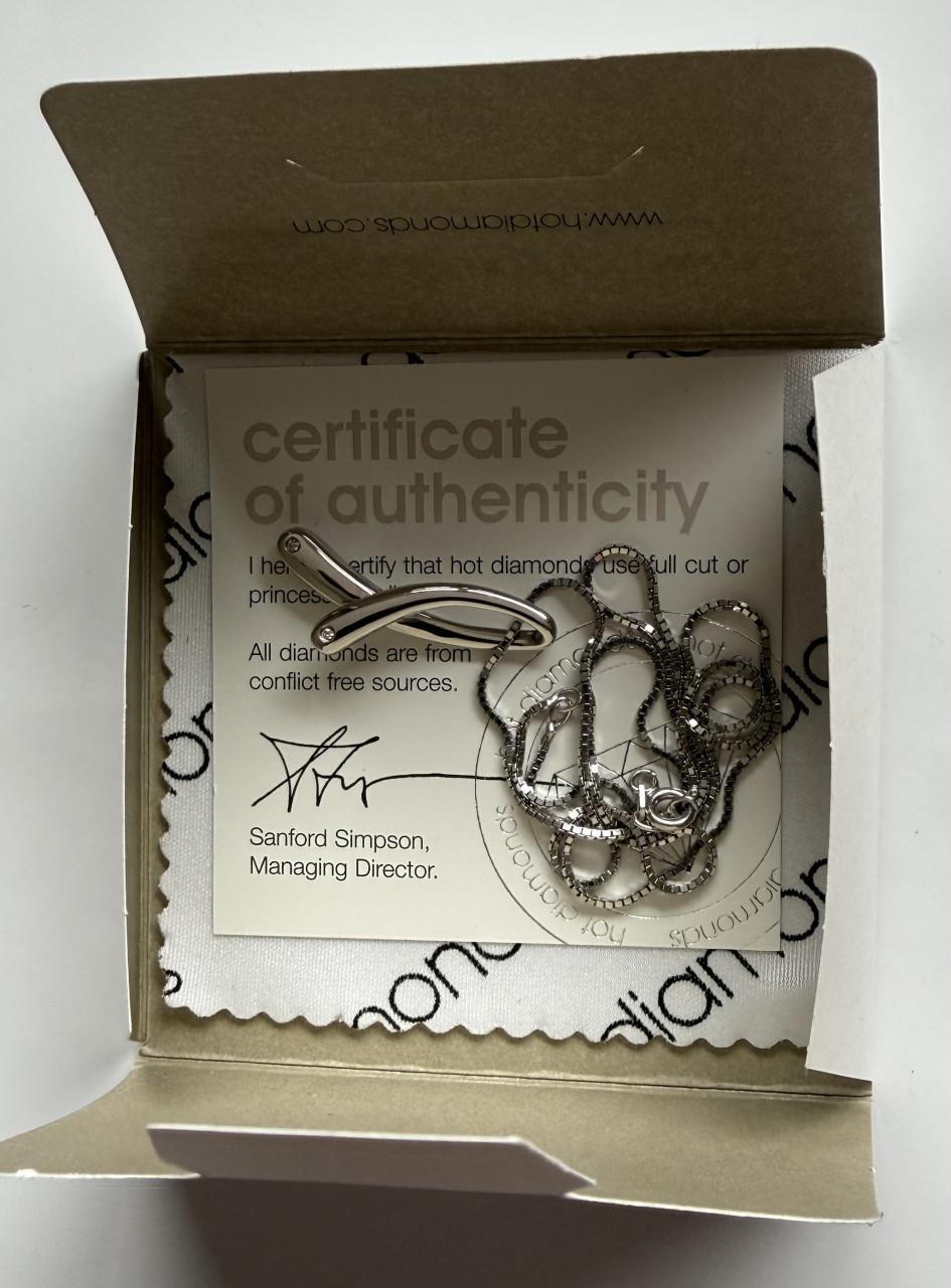 Halsketting (zilver)