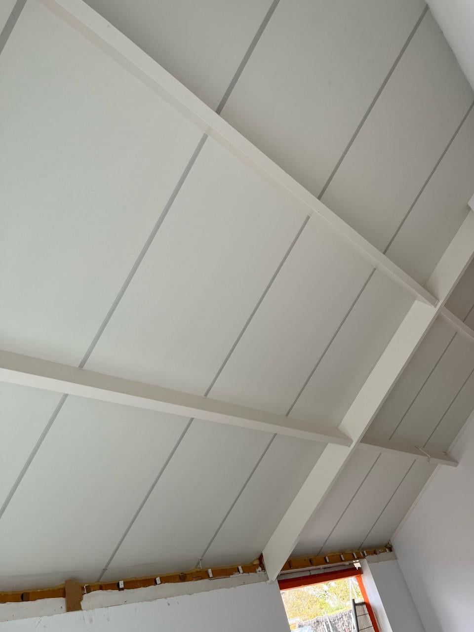 Tempex dak platen