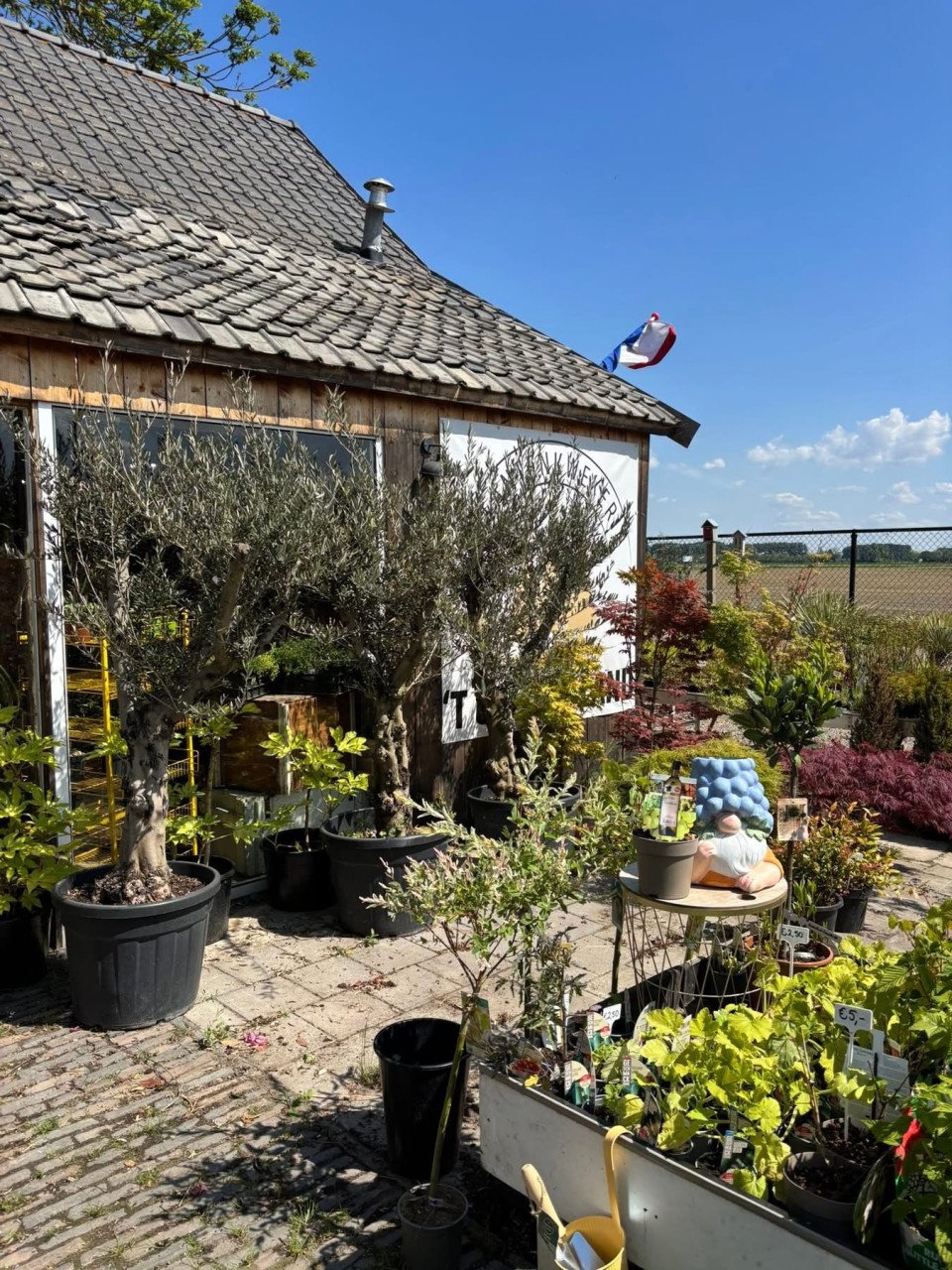 PLANTENKWEKERIJ ‘t GROENE LAND- Moederdagcadeaus