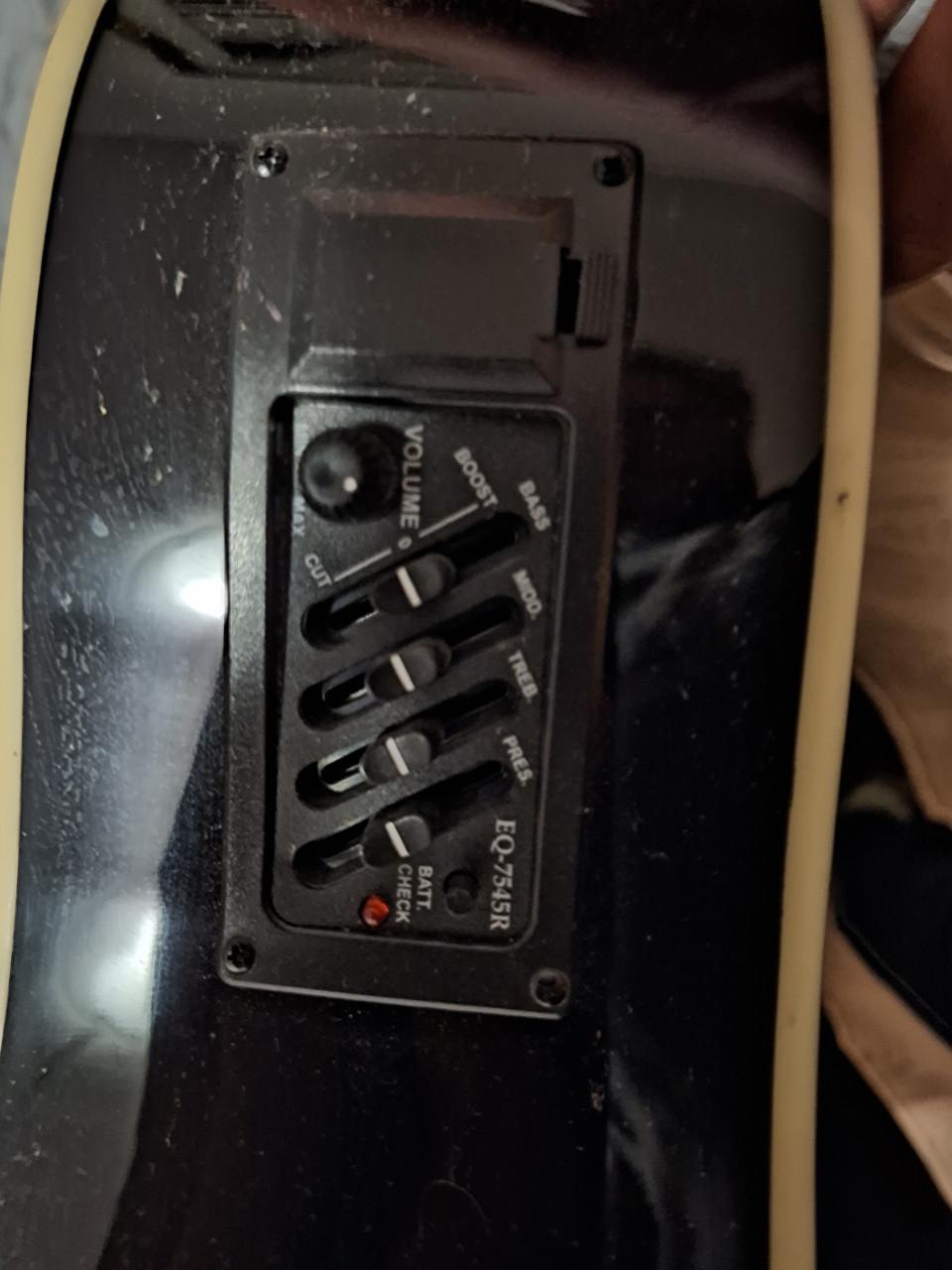 Gitaar 12 snaar