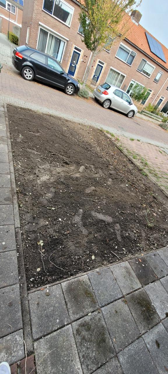 Opzoek naar een tuinman