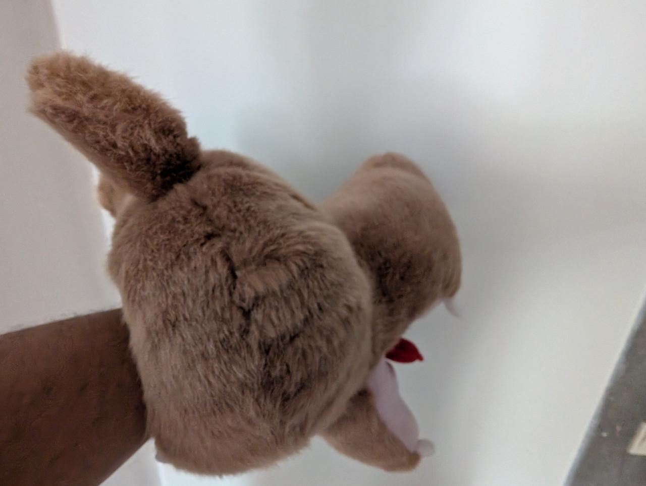 Dierenkoppen Handpoppen