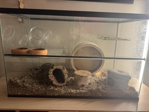 Hamster terrarium