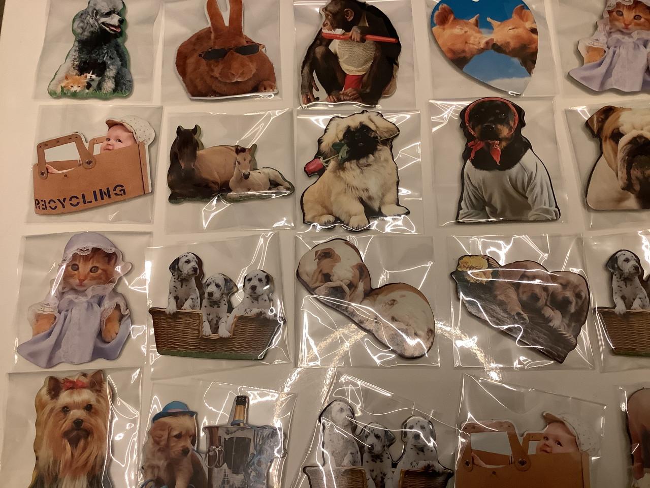 Partij super leuke magneetjes. ( partij 22)