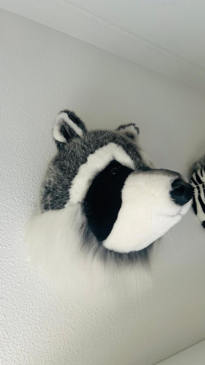 Dierenkoppen pluche
