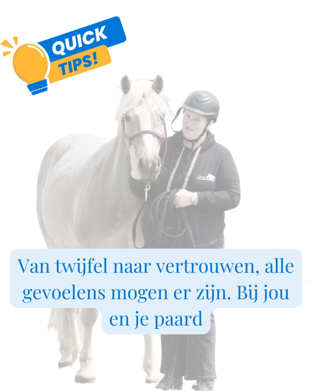 Ze vroeg om een paardentrainer, ze kreeg een coach voor zichzelf