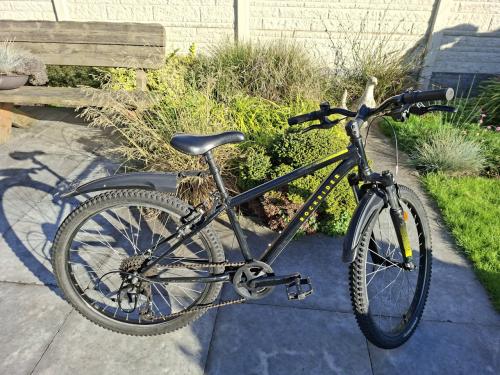 Mtb rock rider