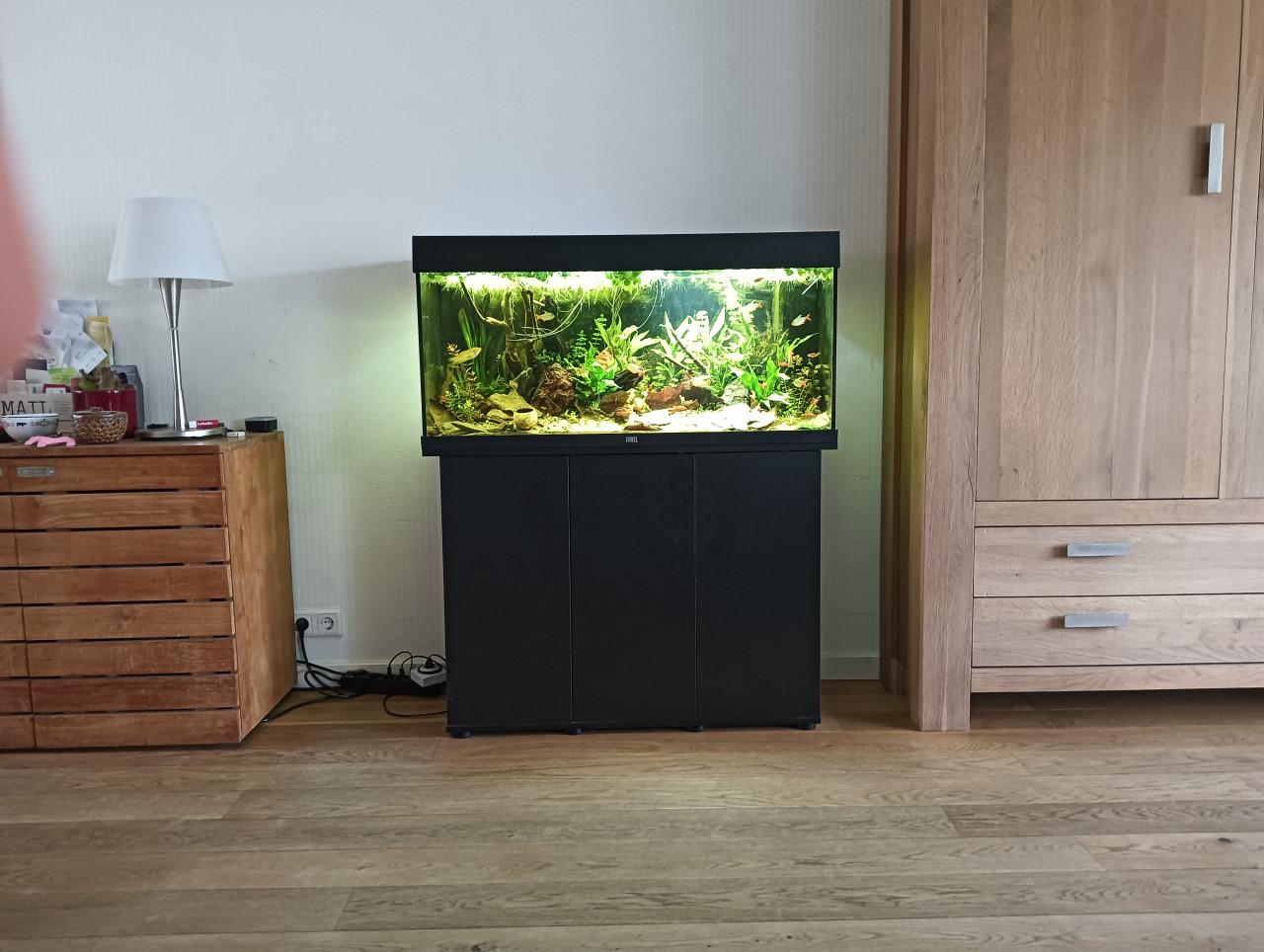 Rio 180 Juwel inclusief kast