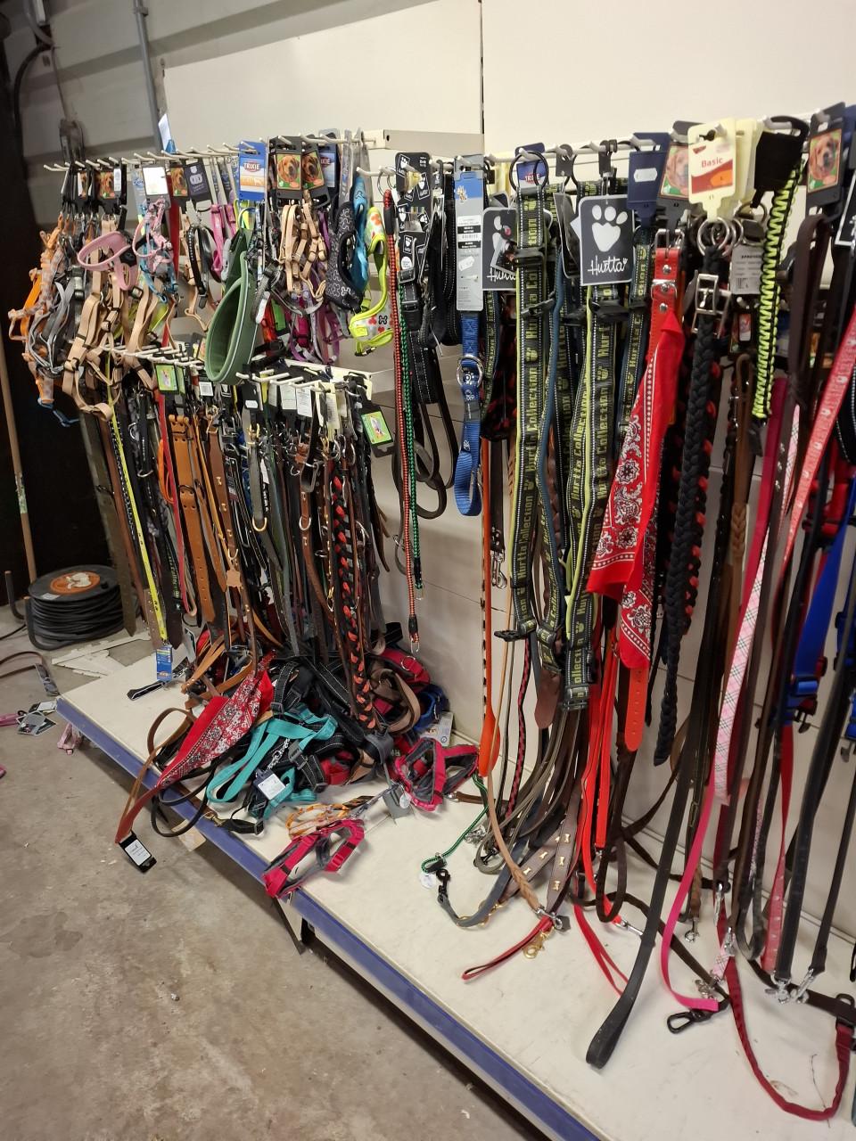 OP ALLE KATTENBAKKEN, KATTENSPEELGOED 50% KORTING