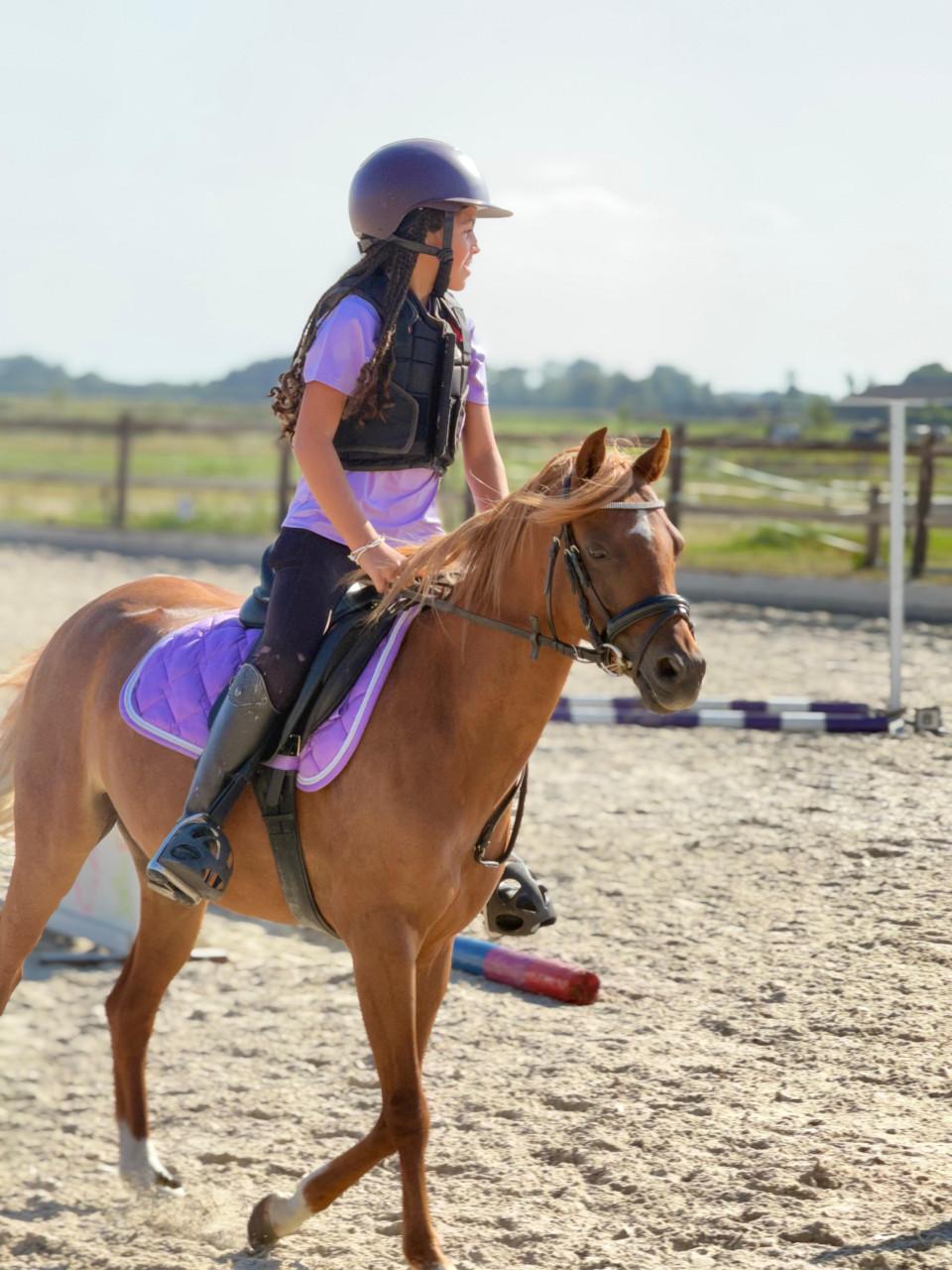 8 jarige B-welsh pony
