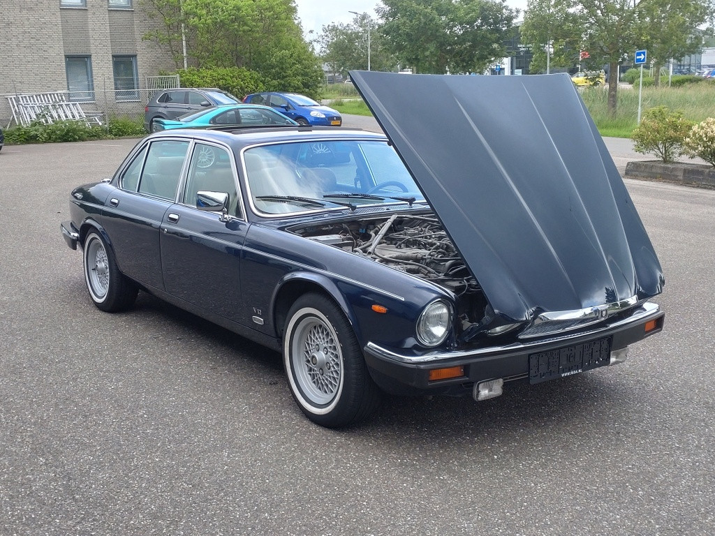 Jaguar Xj 12 serie iii