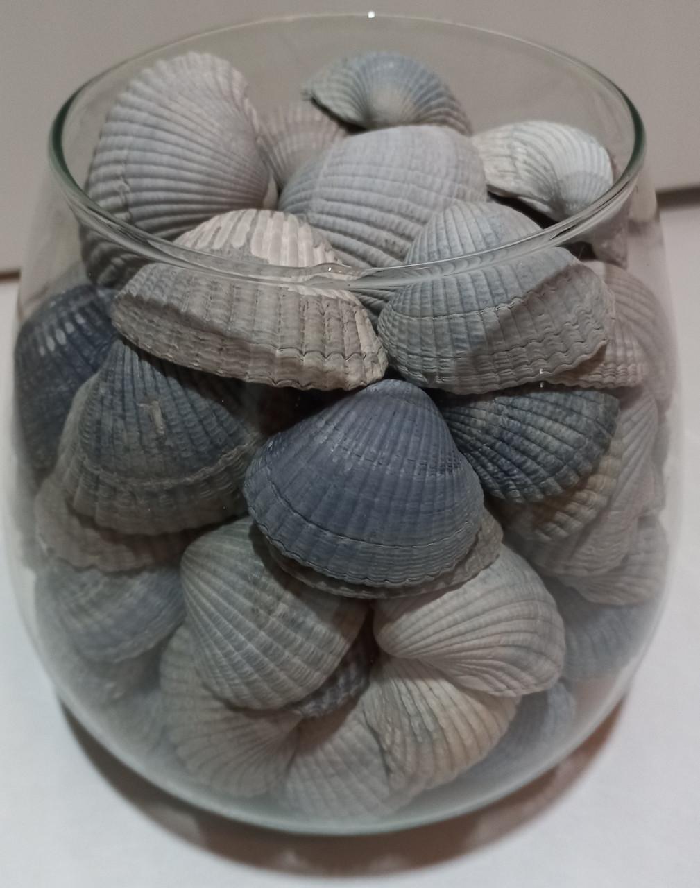 Schelpen in decoratieve glazen potten