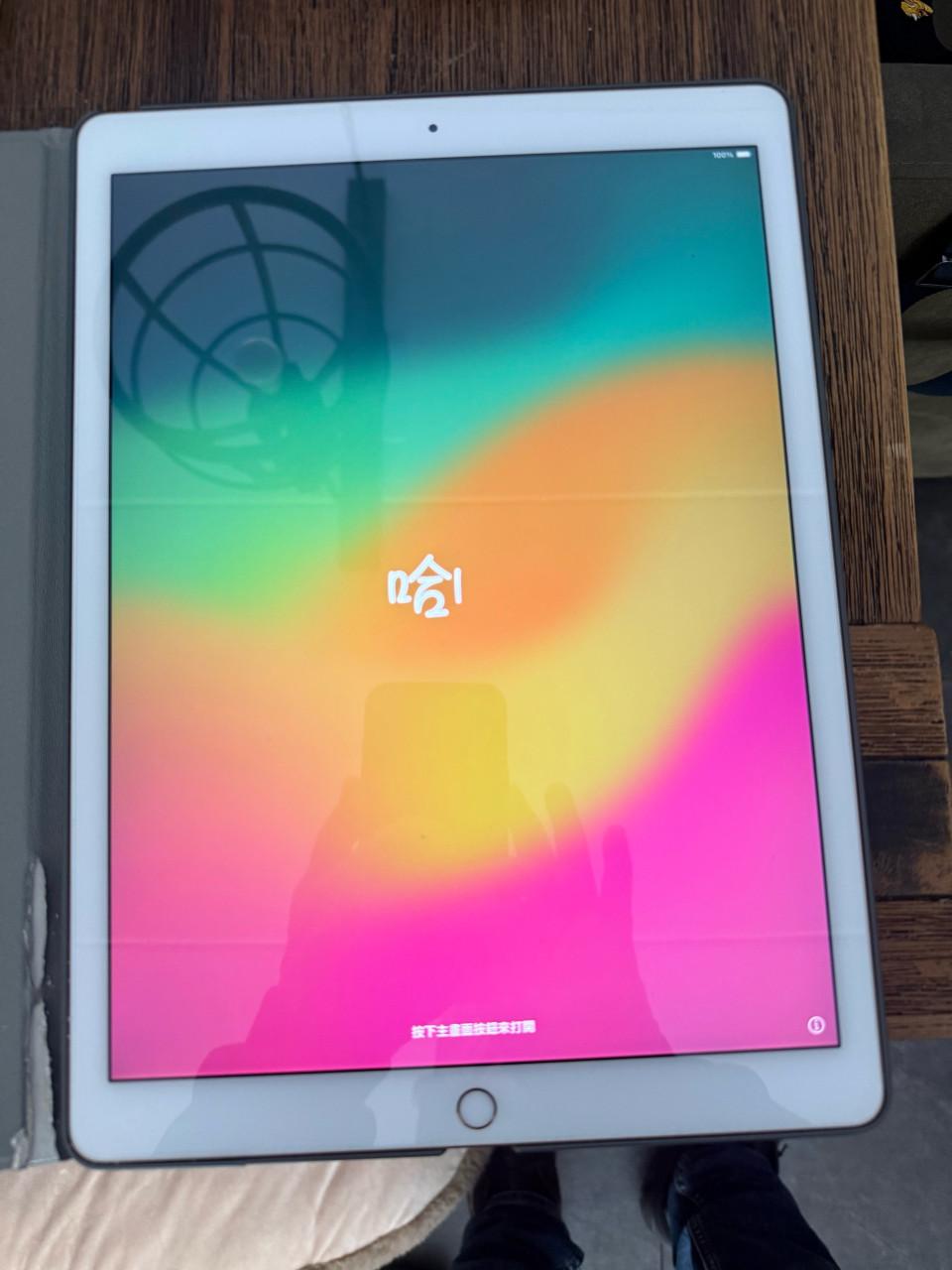 Grote ipad pro 256 geheugen