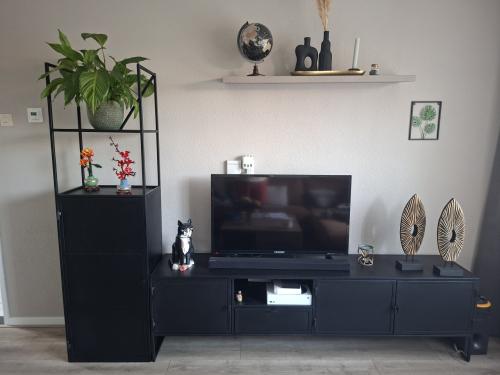 Tv meubel en kast