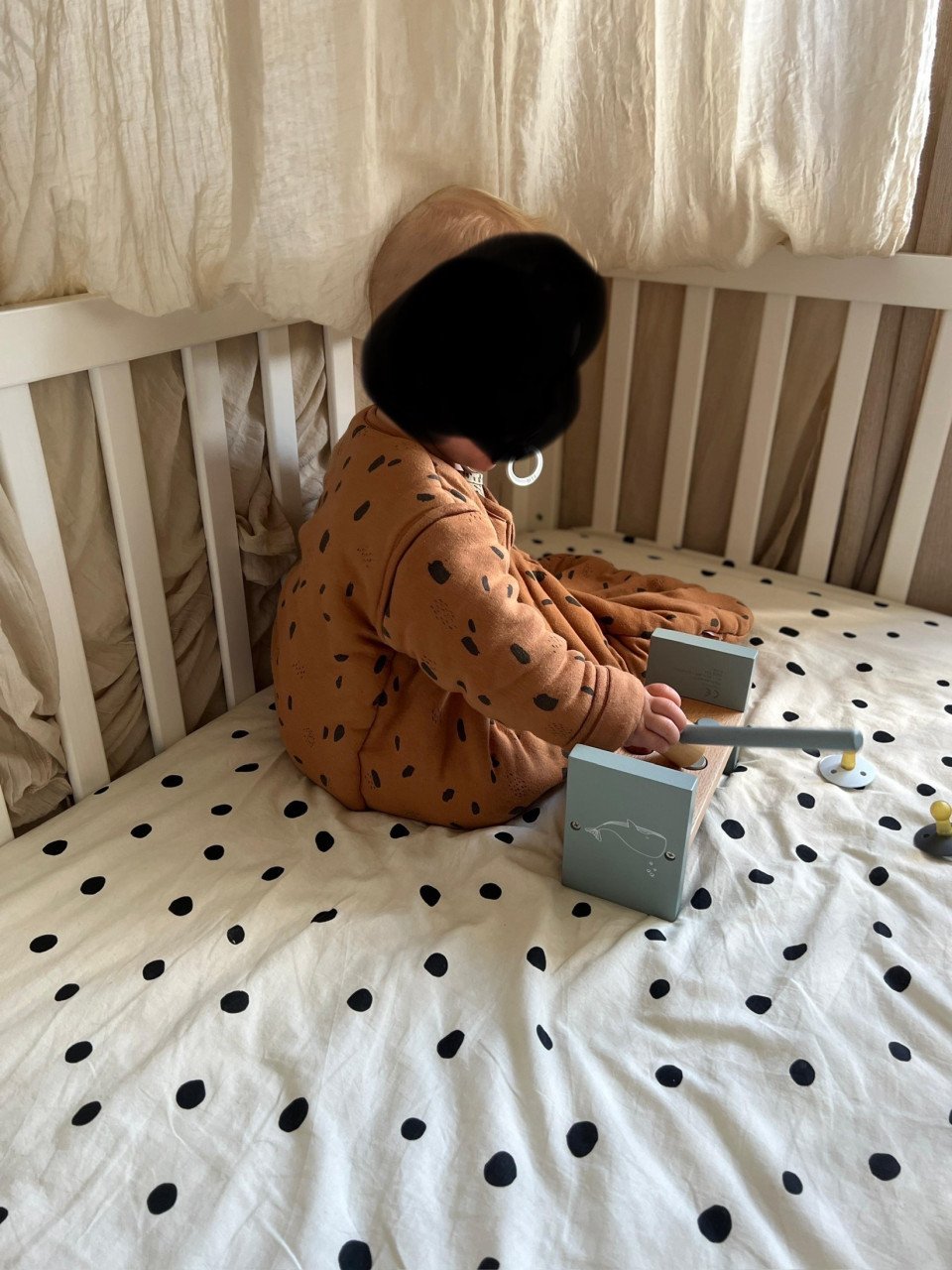 Doorgroeiledikant Petite Amélie