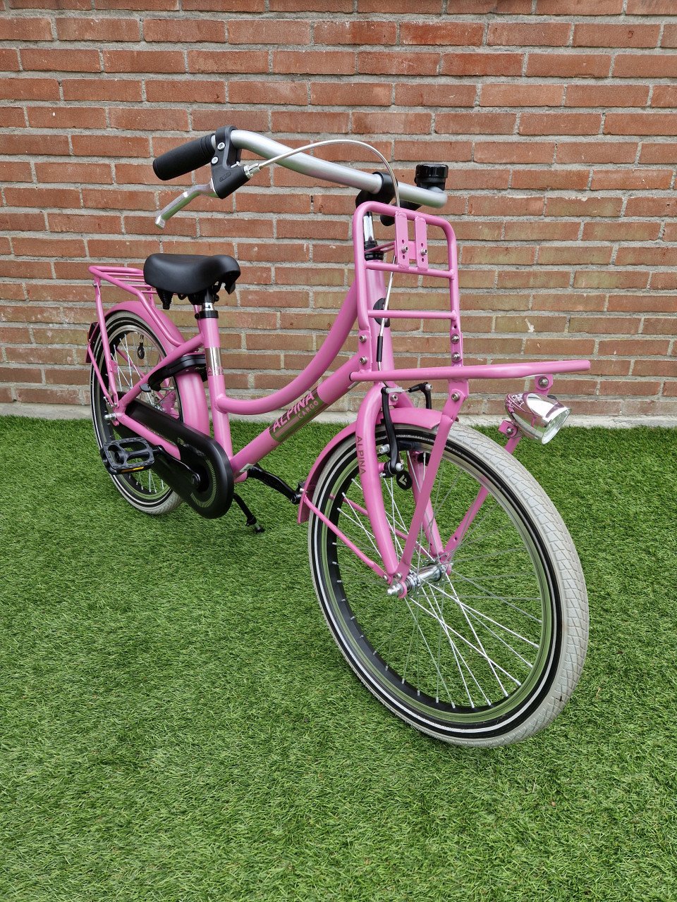 Alpina Cargo 20 inch SUPER staat