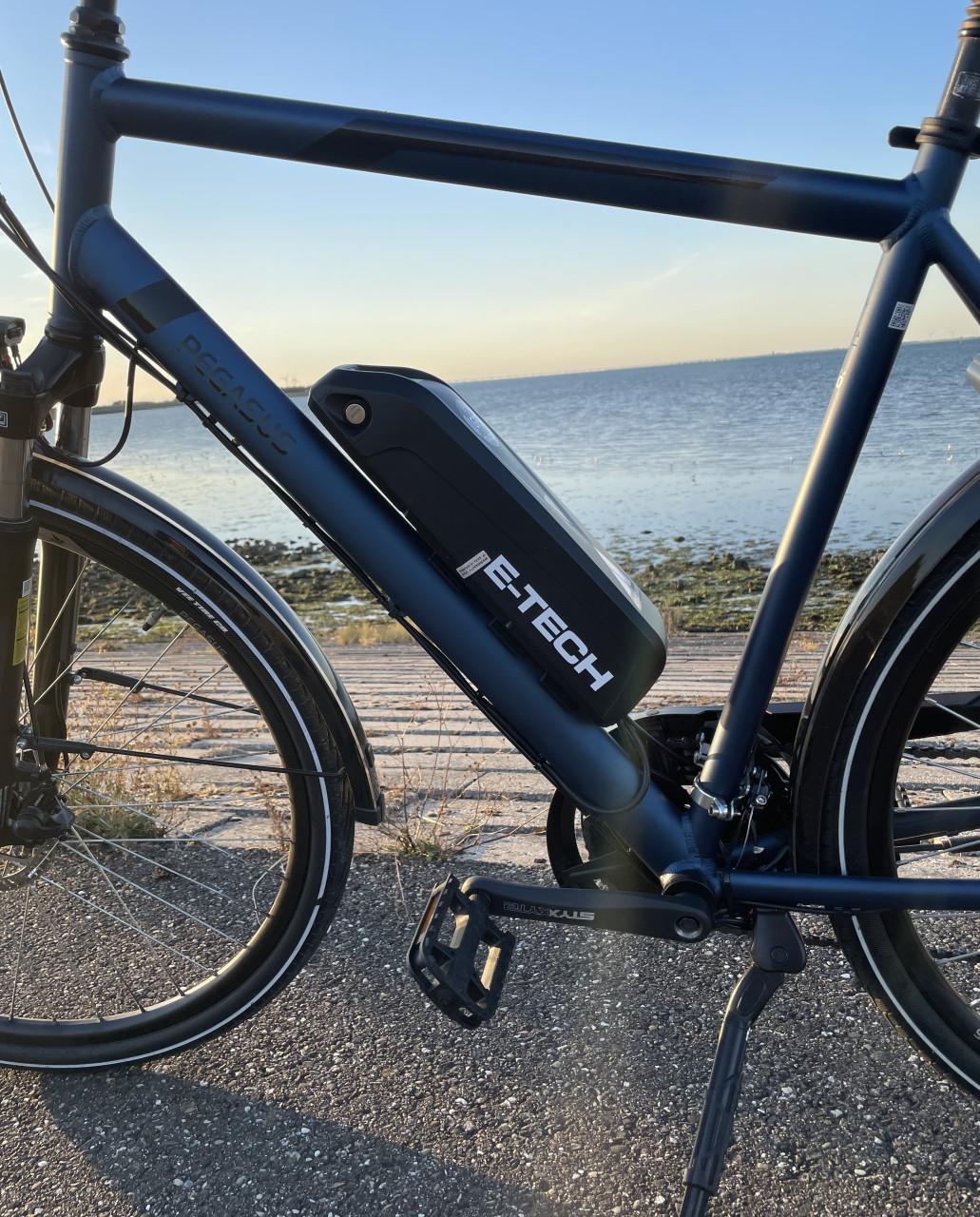 Custom Build Pegasus E-bike.