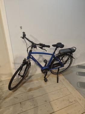 Gazelle Vento