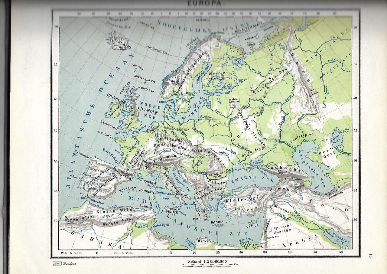 Bos atlas