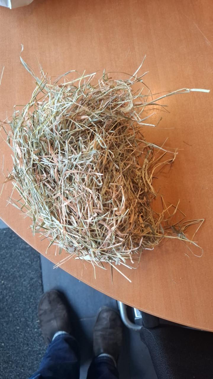 Wikkelbalen/voordrooghooi