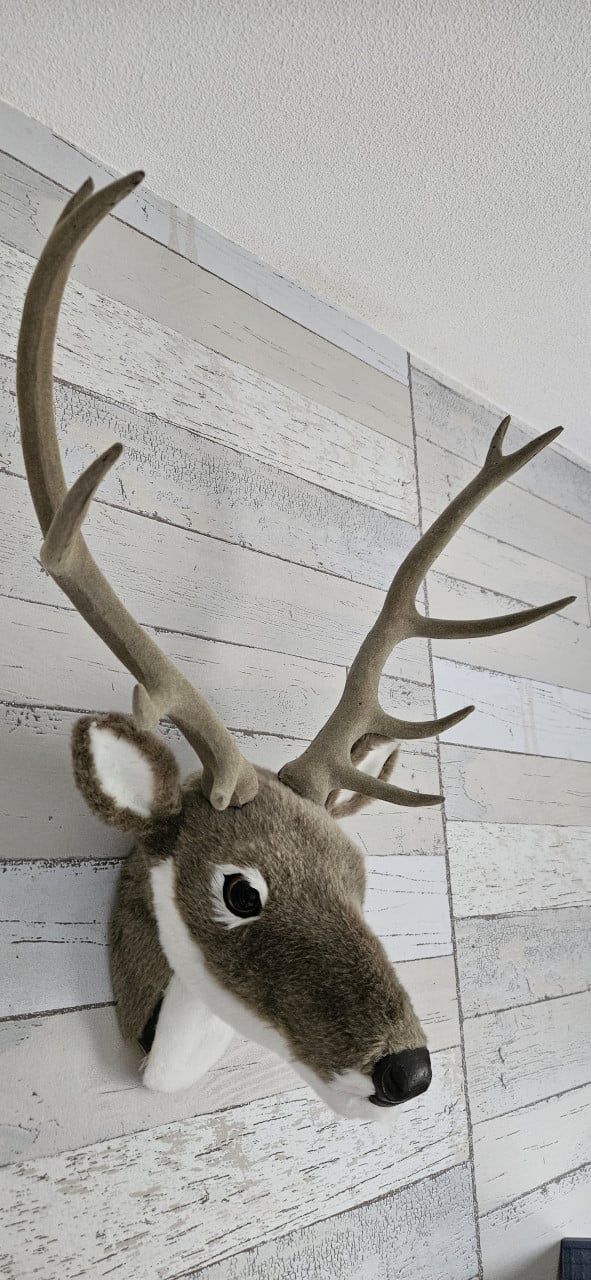Hertenkop, decoratie voor aan de muur
