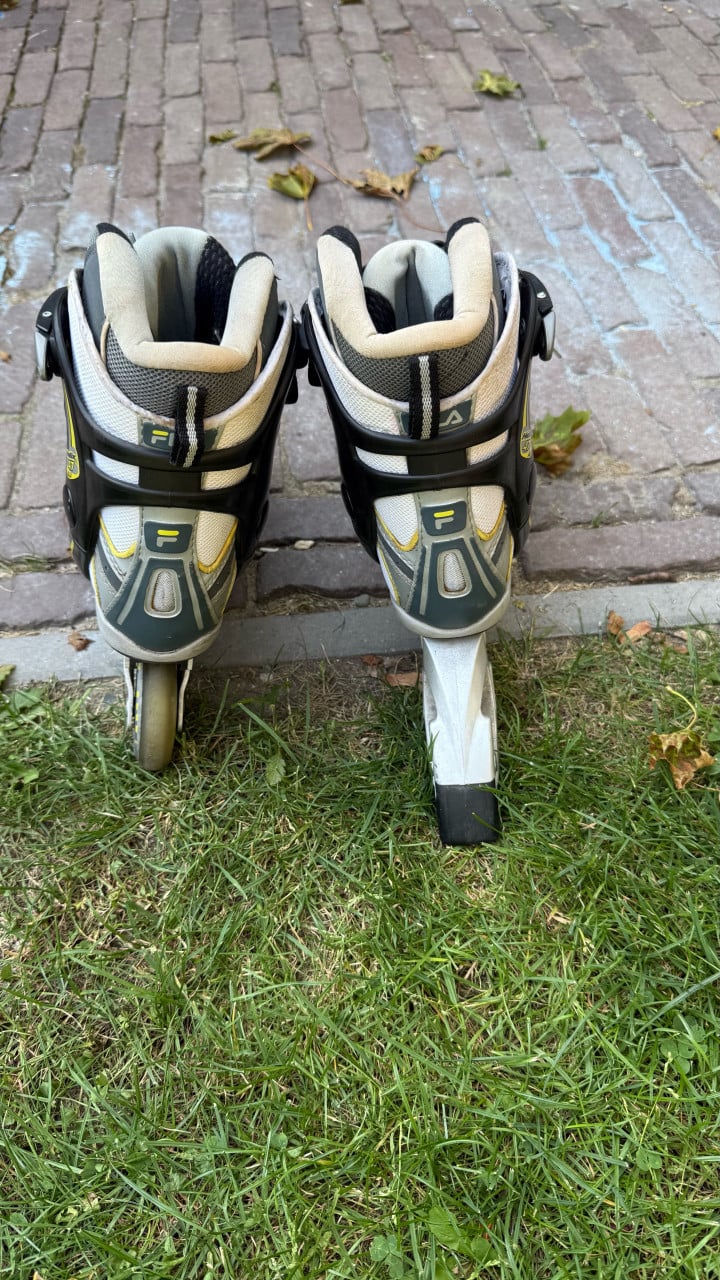 Skeelers