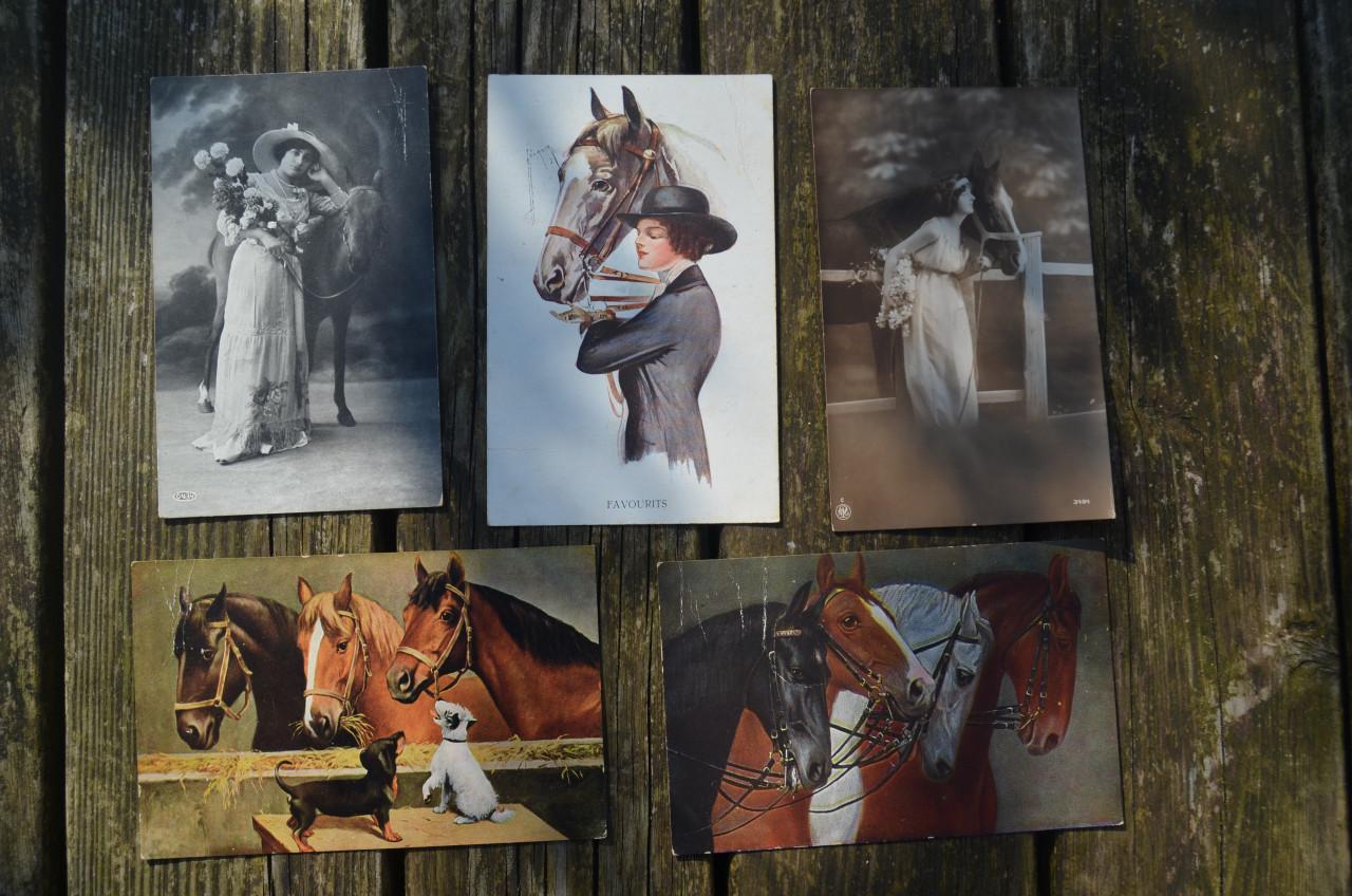 11 Ansichten Dieren vnl. Paarden begin 20e eeuw.