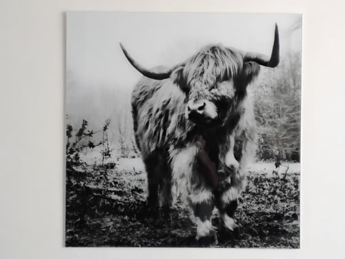 Schilderij op glazen plaat