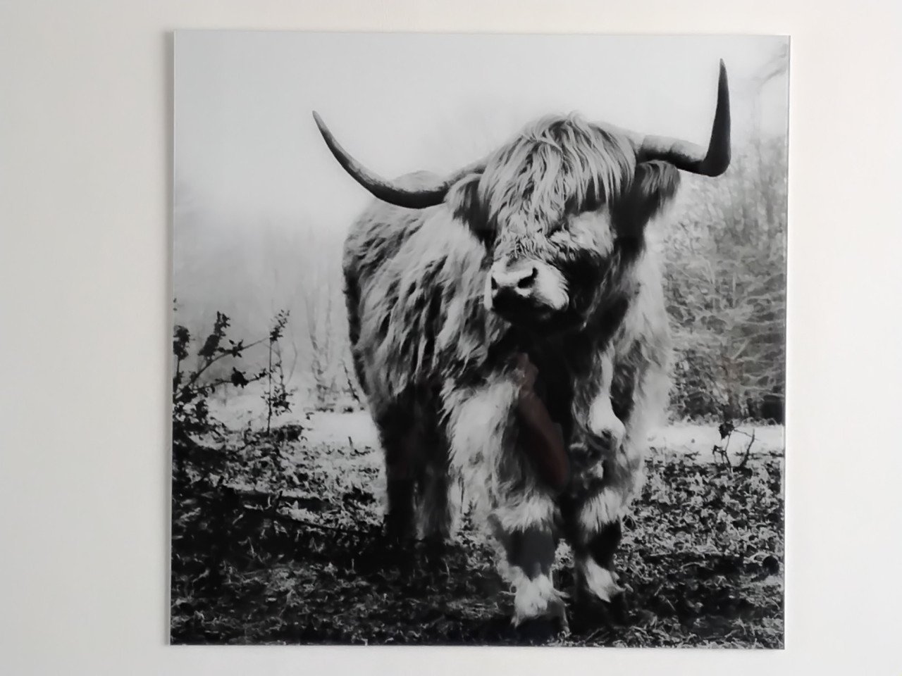 Schilderij op glazen plaat