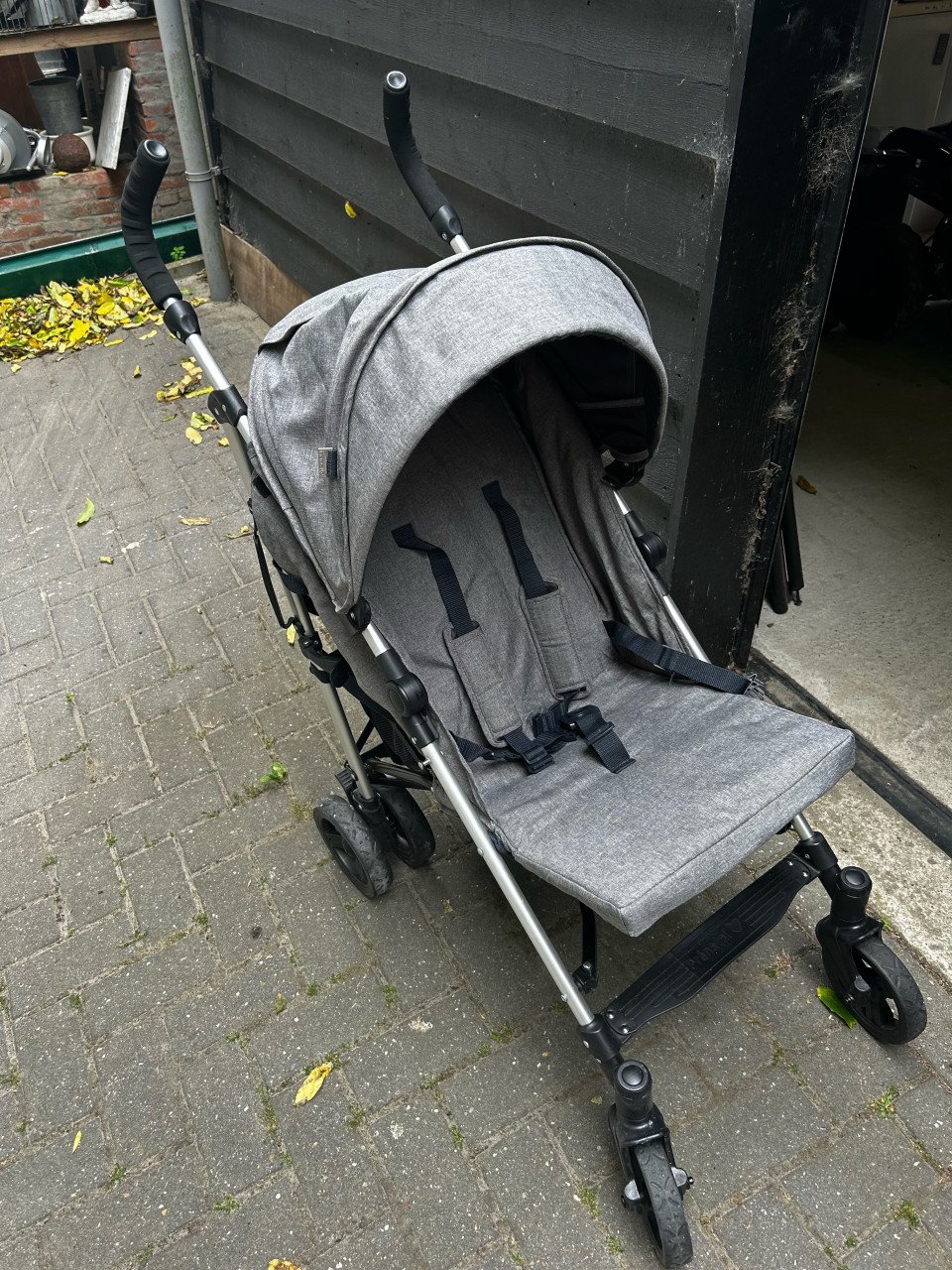 Prenatal Buggy