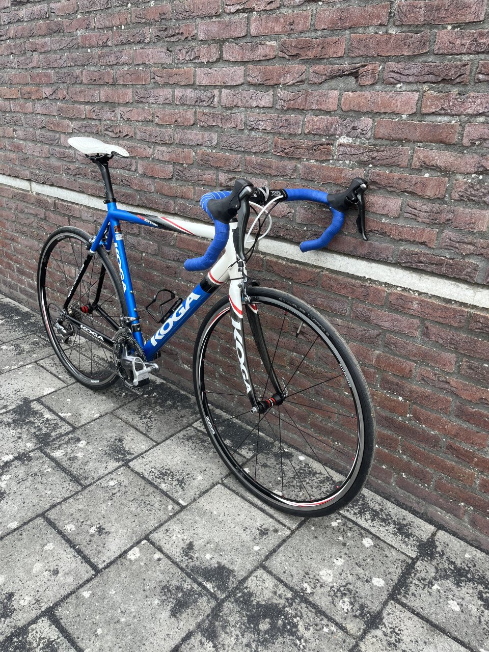 Koga team edition ultegra 57 cm